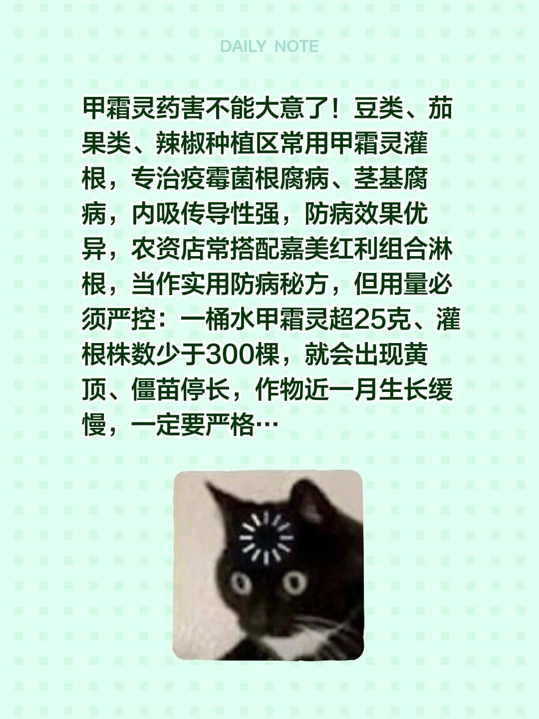 甲霜灵药害不能大意了！我评论了@天宝农业技术服务 的作品：
甲霜灵药害不能大意了