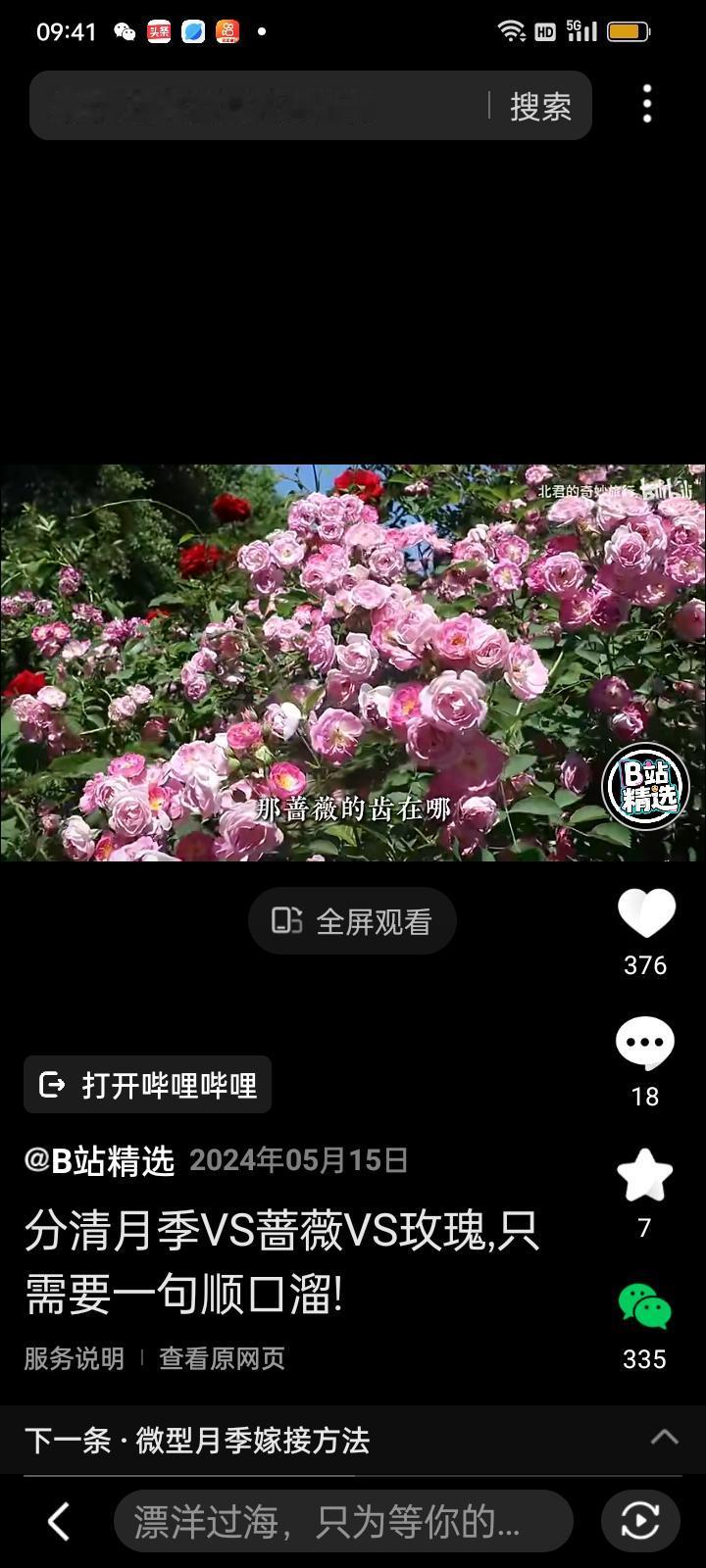 蔷薇花
文/李兴伟
蔷薇茎长而攀援，
花朵簇生叶多片。
既有钩棱而锯齿，
花朵随