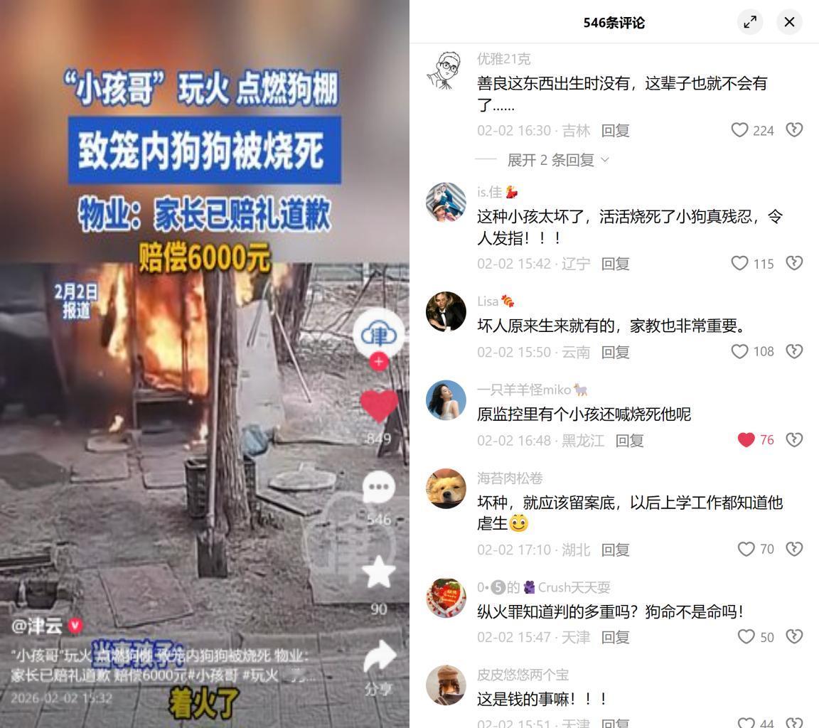 7年的家人，被6000块划了句号。

江苏俩小孩玩火，烧了狗棚里的萨摩。家长