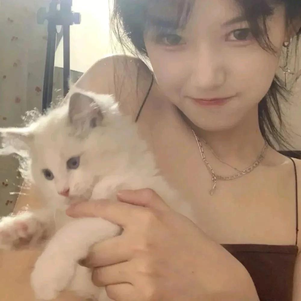 和我的小白猫一起自拍🐱💕猫系生活照 猫咪壁纸自拍 猫系宅家自拍 白猫治愈系 