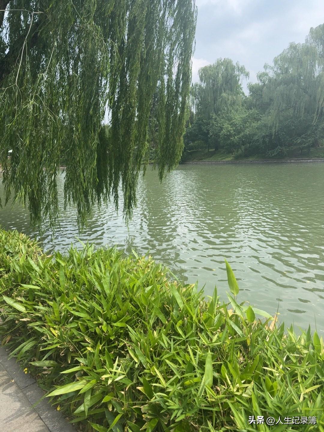 堂弟打电话说：你叔叔不在了，明天回家奔丧。
堂弟说完就挂断了电话。
老公跟我说：