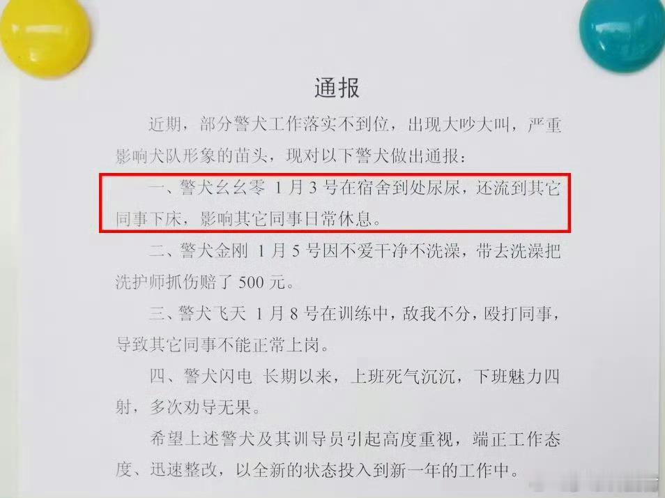 警犬在战友床上尿尿连续4周被通报 警犬整顿职场，顺便整顿舍友，不应该孩子住单间吧