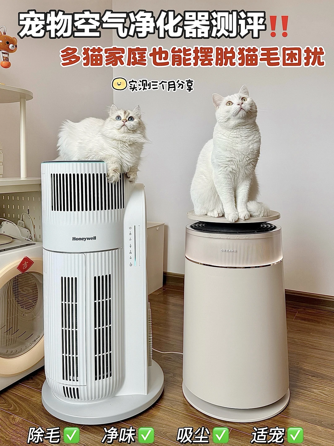 4猫家庭自用宠物空气净化器深度测评
