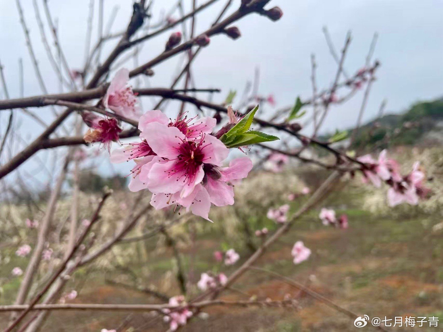 把全部的精力用在读书和学习上在需要做出重大决策时可以立刻调出丰富的知识储备做出最