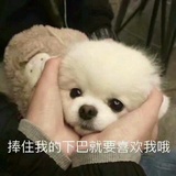 亲爱爱谈科技
