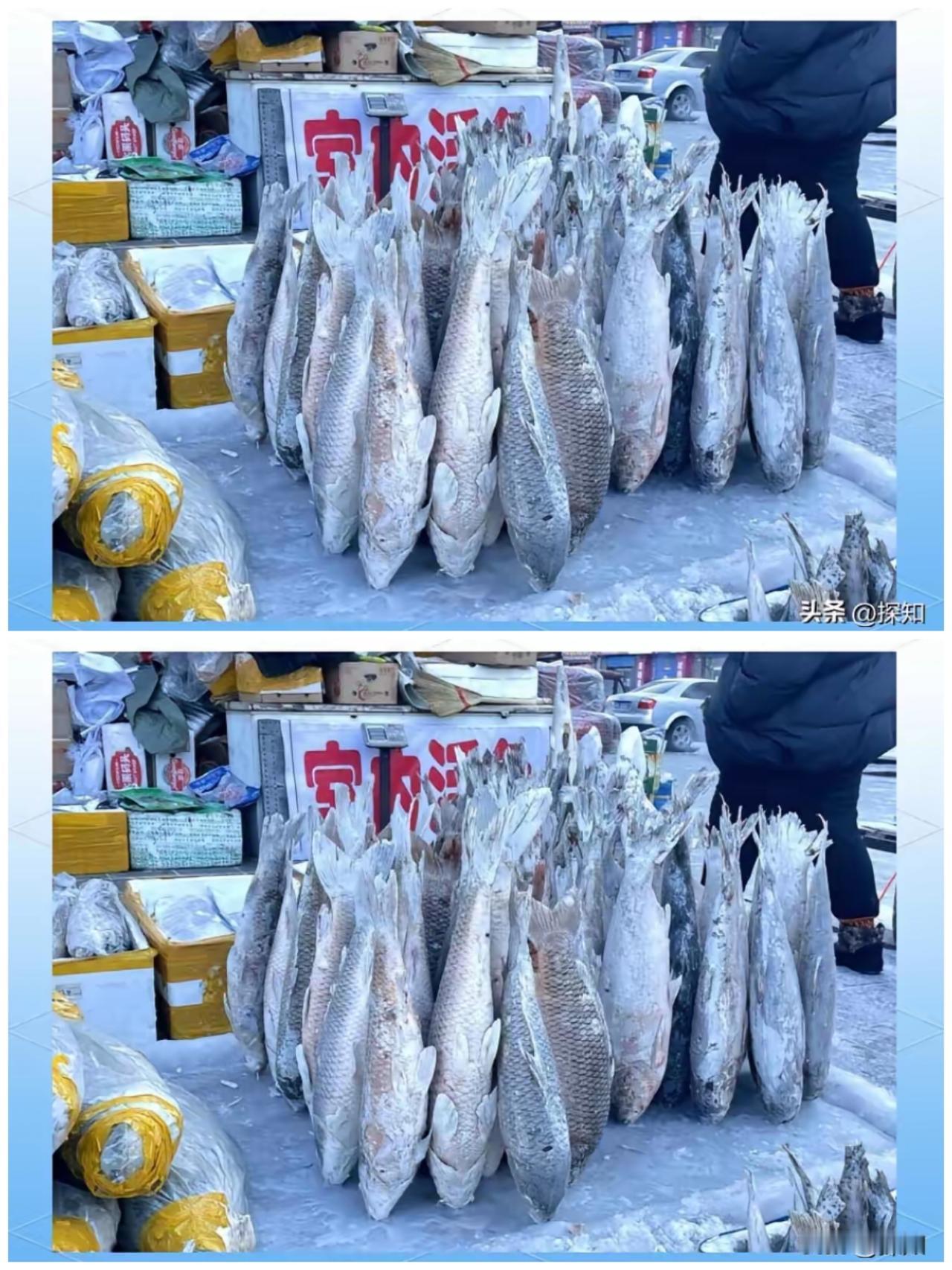 东北冬天的浪漫，全藏在这堆成山的冻鱼里！这才是刻进骨子里的年味儿
 
一进东北腊