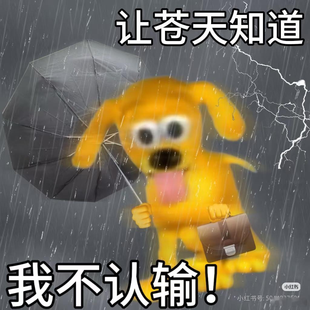 所有人闭关背梗，备战10月9号。 ​​​