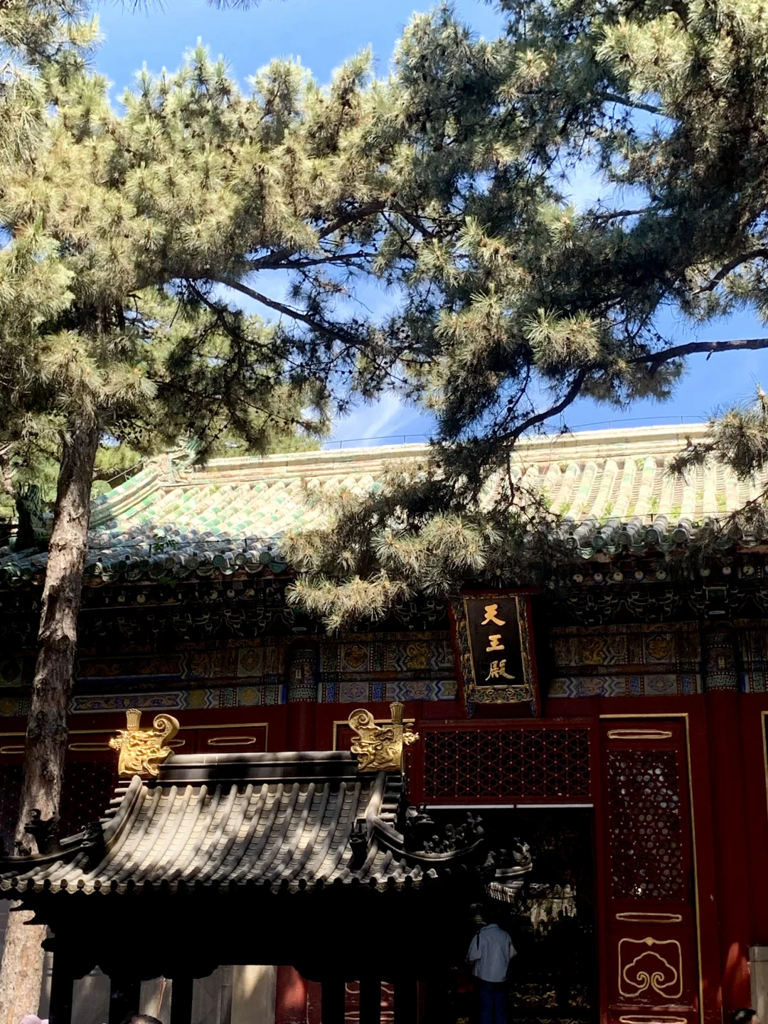 北京潭柘寺｜京西超适合周末放空 ✨
