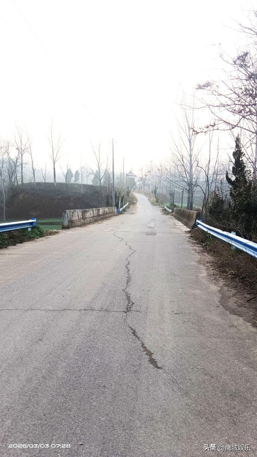 《晨路行》
晓雾初开野径长，疏林含露待朝阳。
青田一脉连村远，石栈双桥卧水凉。