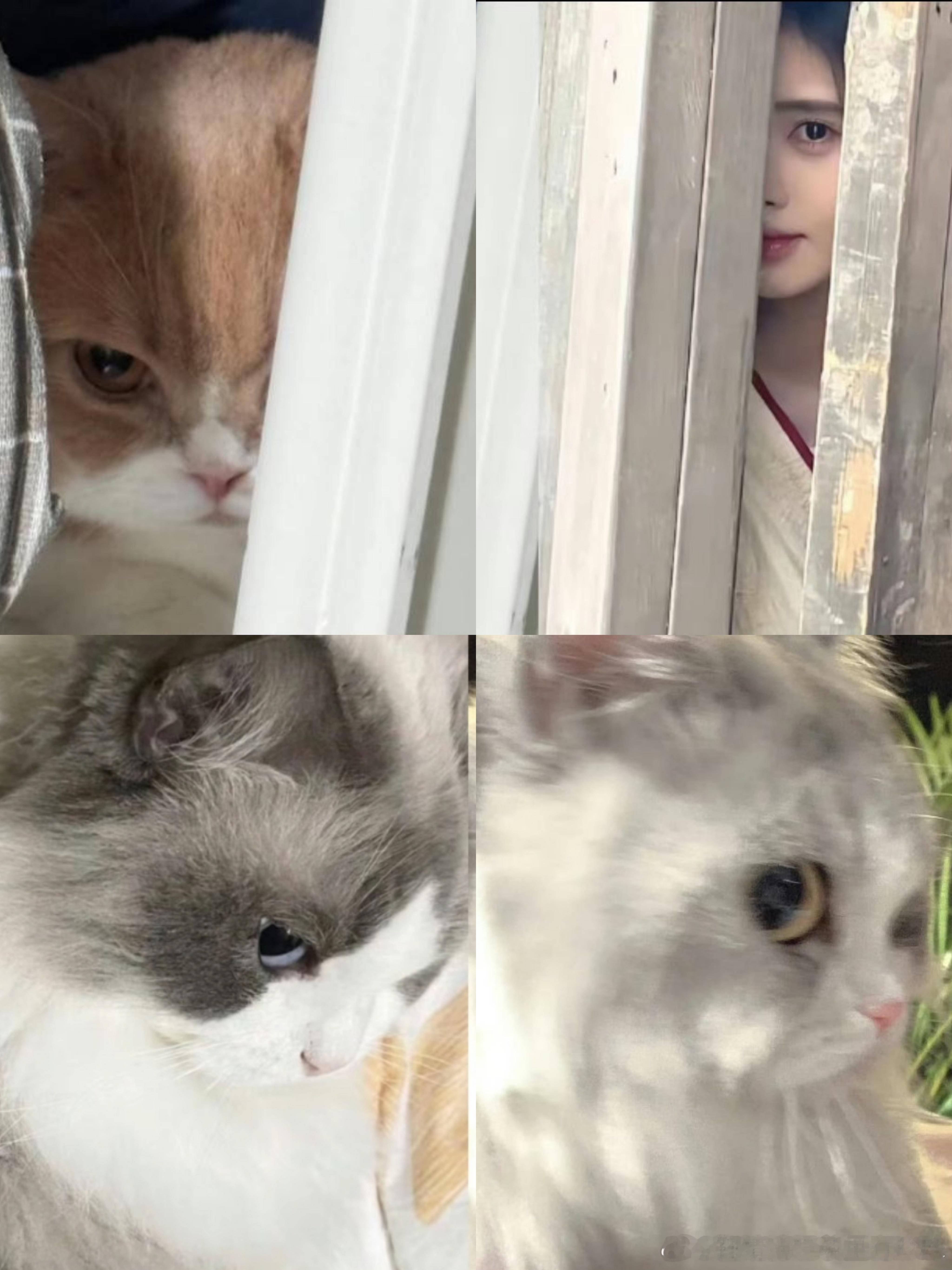 不是一家人，不进一家门 