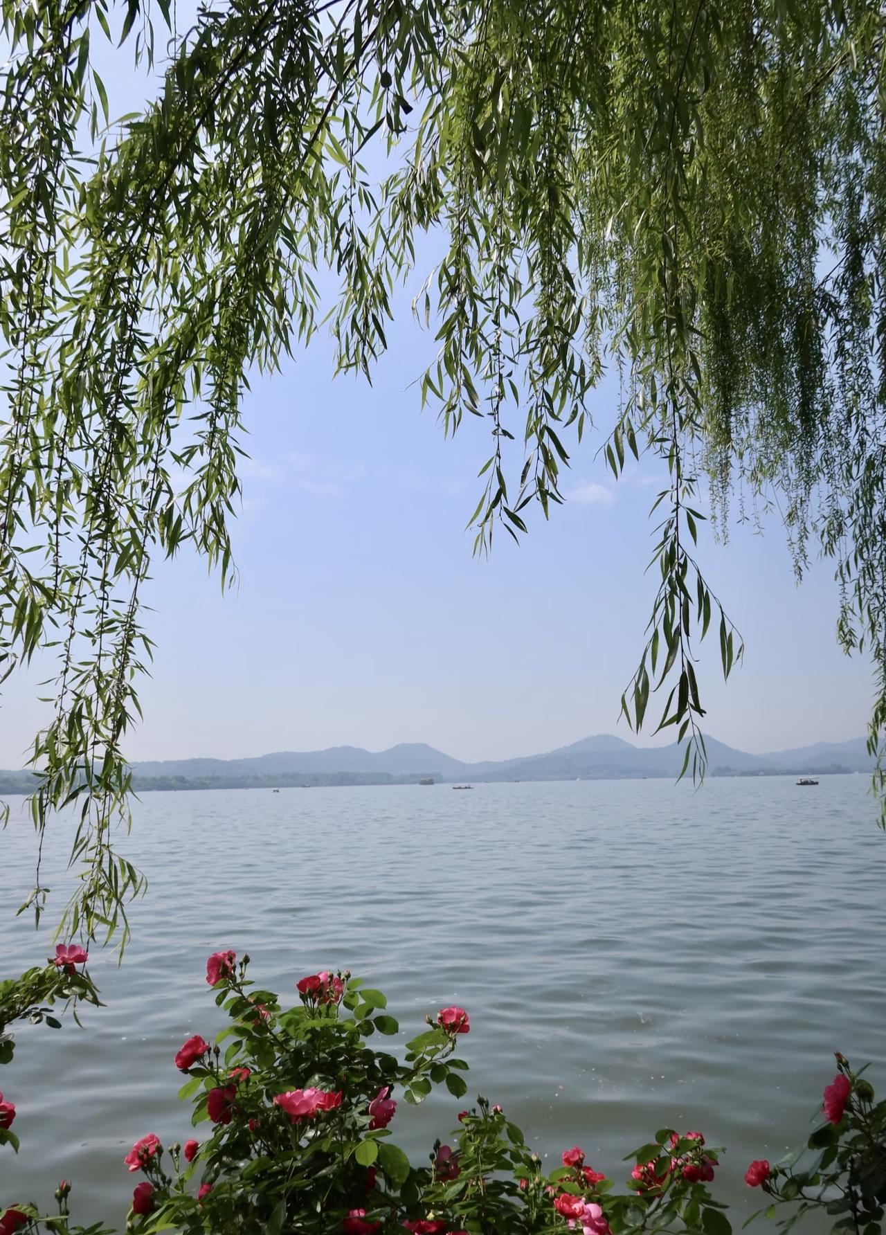 随手拍张照澄澈湖水静静流淌，岸边绿柳依依摇曳，天边白云悠然舒展。清风拂过水波潋滟