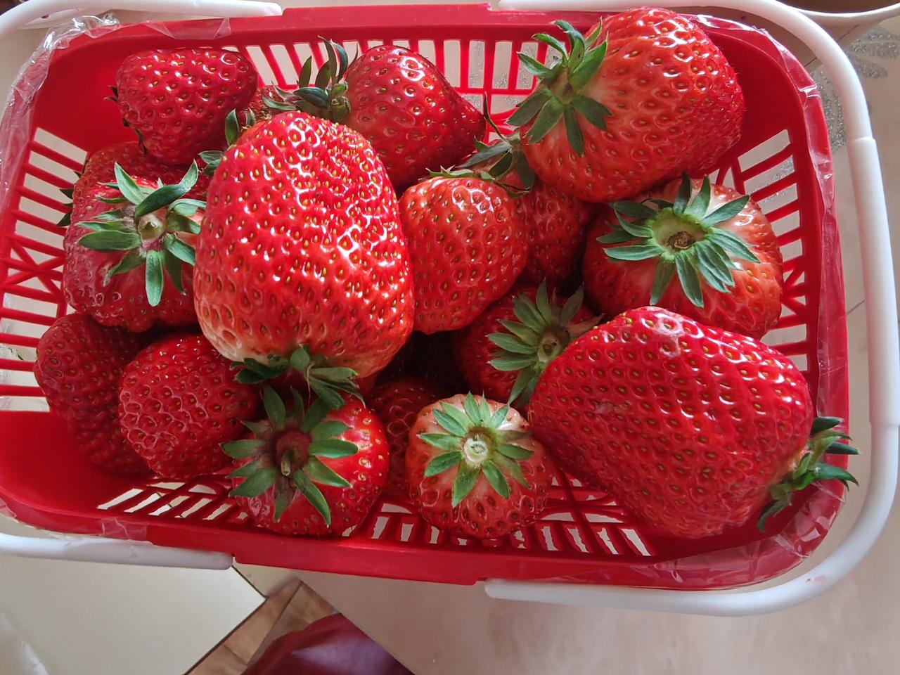 天南地北大拜年小区邻居在新洲种的草莓，送到小区32元2斤，味道不错。