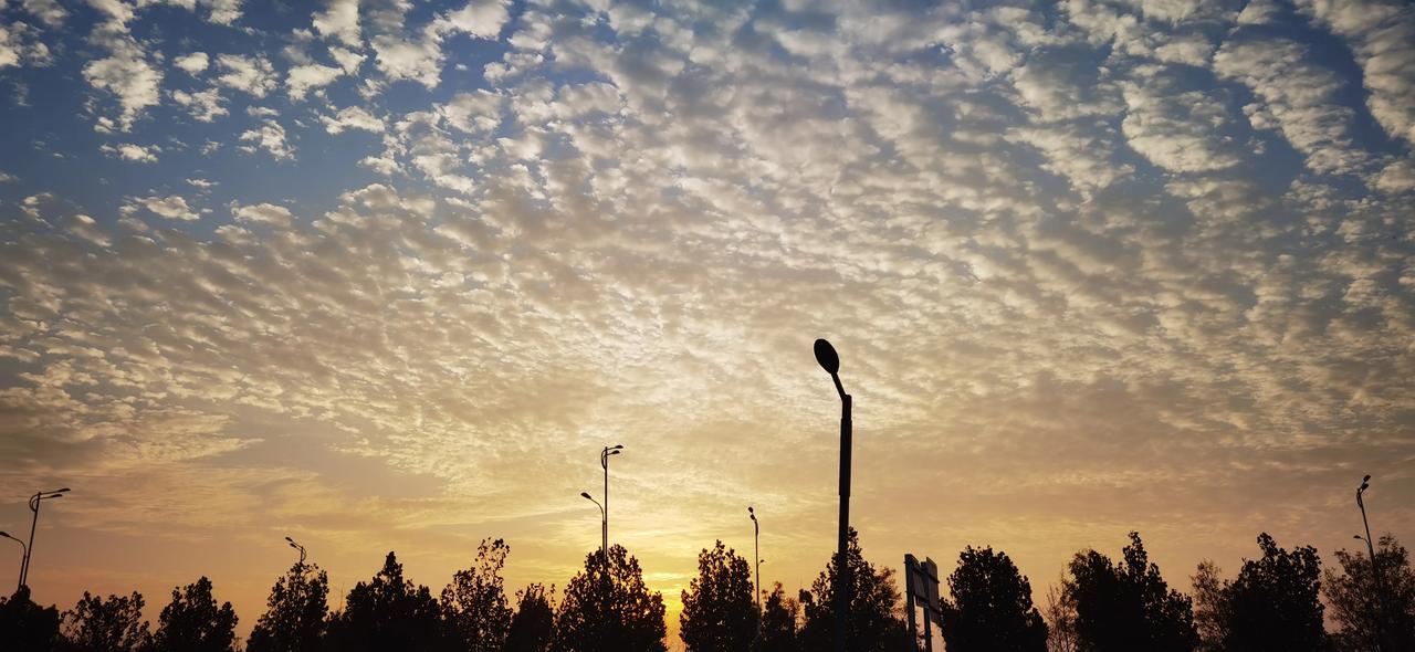 #秋日生活打卡季#秋天的天空，没有了大朵的云彩，一朵一朵，布满了天空，看的时间久