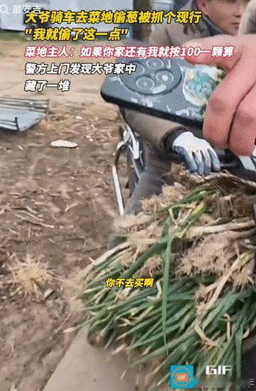 “专门逮着一家薅啊！”江苏，一大爷骑车去菜地里面偷葱，当场被抓个现行，还狡辩道，