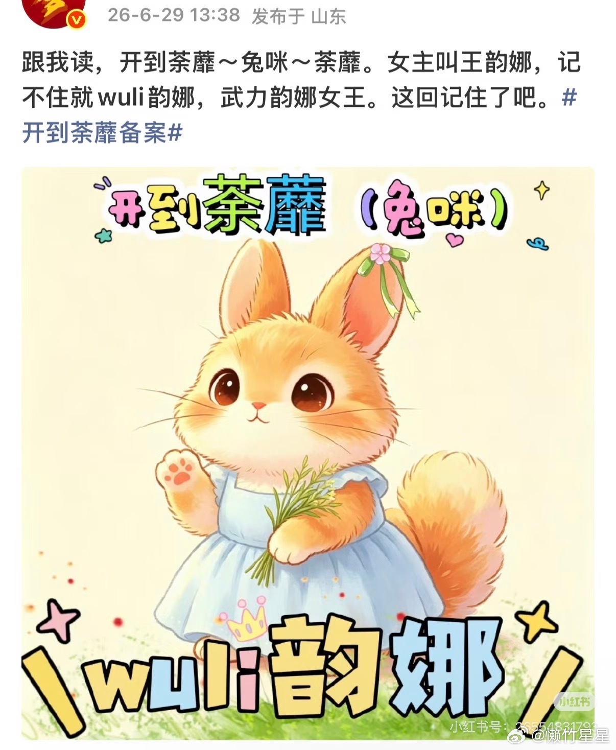开到荼蘼 kāi dào tú mí💖王韵娜拼音➕汉字已完全驯服输入法