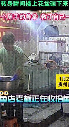 投喂流浪猫竟捡回一命！烤鱼店老板的幸运时刻
 烤鱼店石老板的暖心善举，竟让自己躲