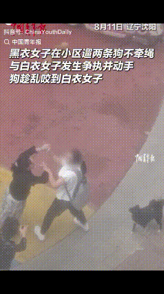 辽宁沈阳，一女子小区遛两只狗不牵绳，狗把过路女子吓到后，过路女子好心提醒她，谁知