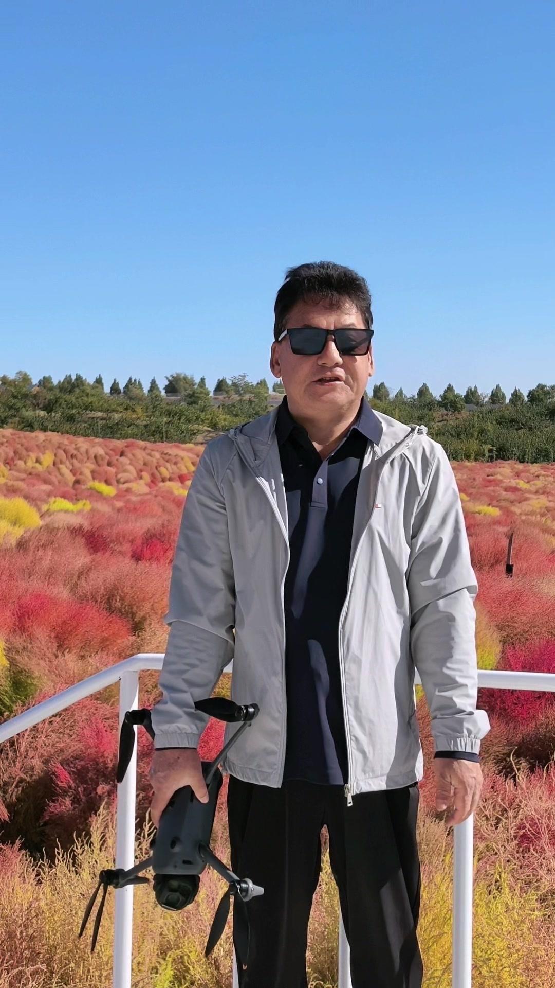 不用远赴国外，在伊犁就能撞见这片漫山遍野的梦幻五彩地肤，满眼都是鲜活的鲜亮色彩，