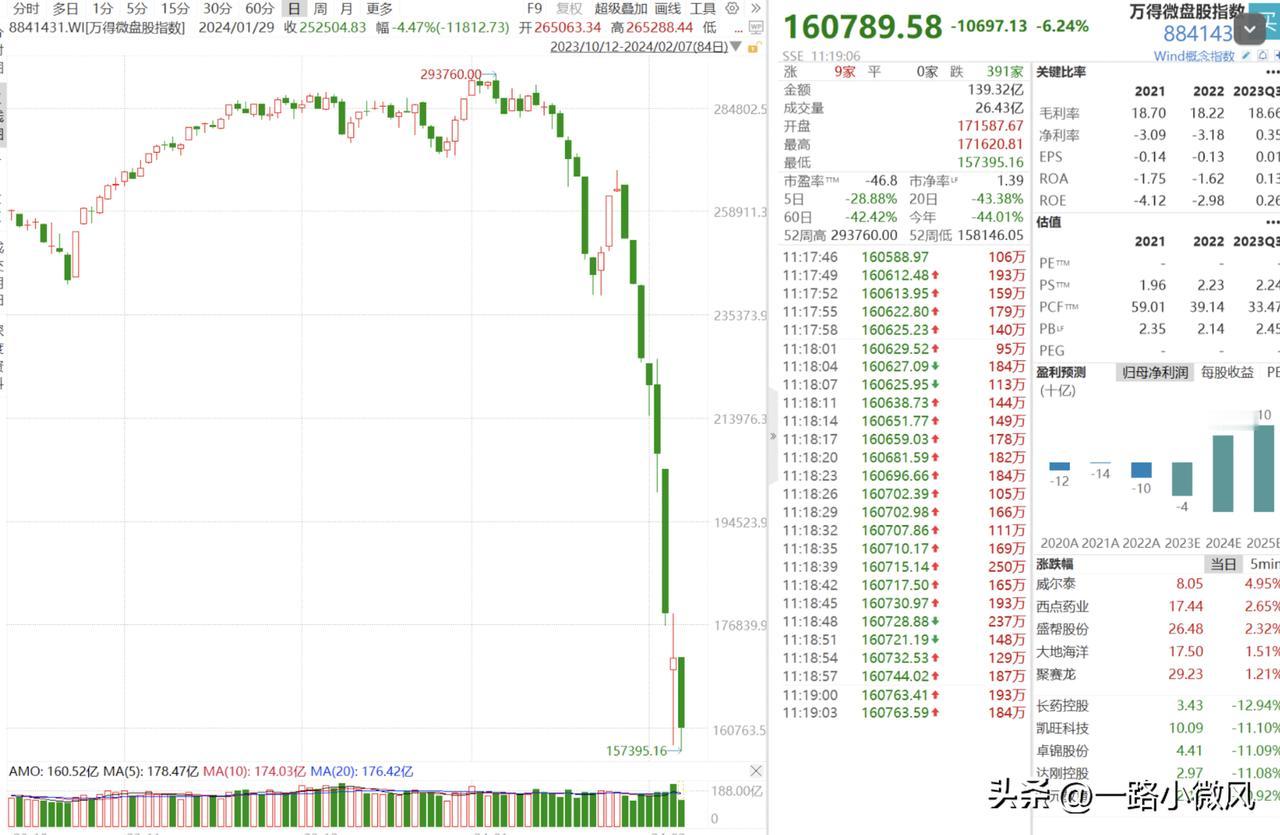 20240207 复盘    中盘股有了连续性！


两市成交破万亿，各大指数均