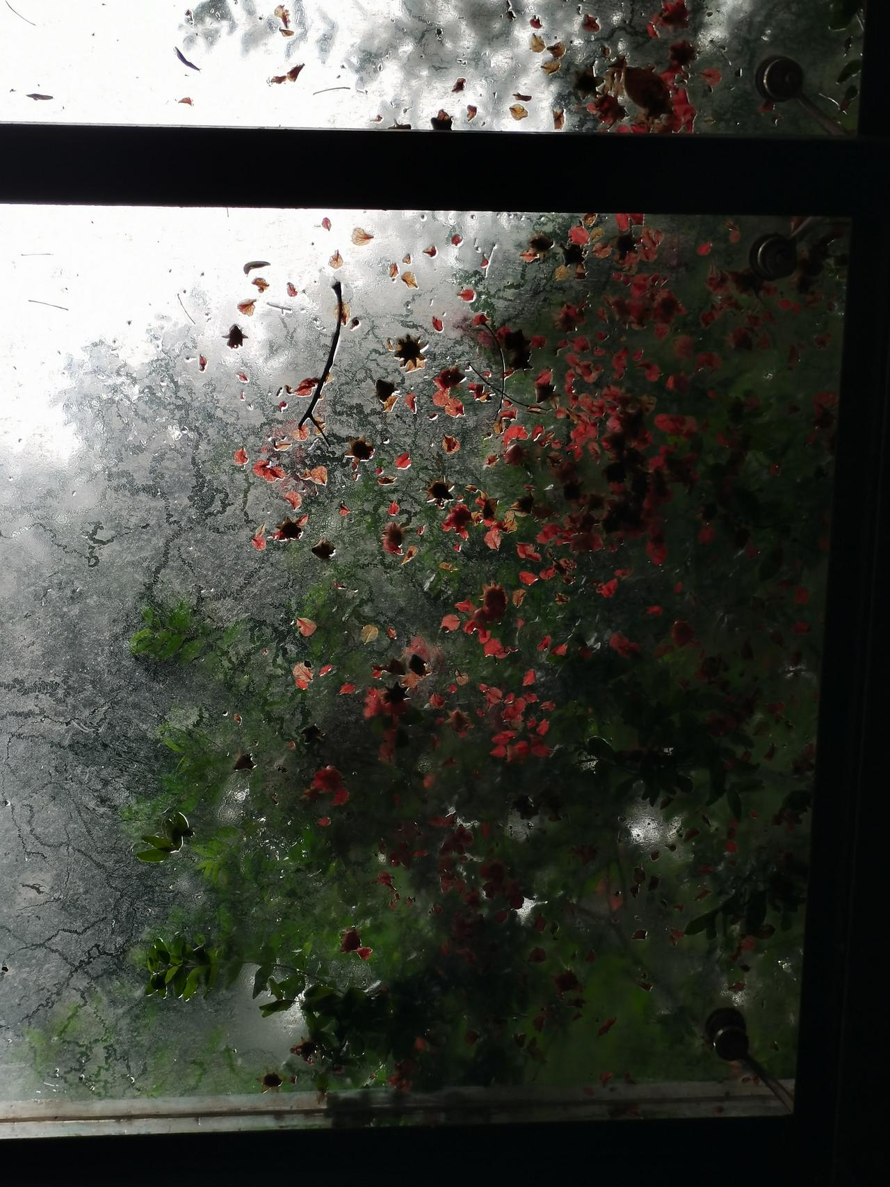 早上七点二十醒，
看了眼手机 离闹钟还有25分钟，
继续睡还做了一个梦。

其实