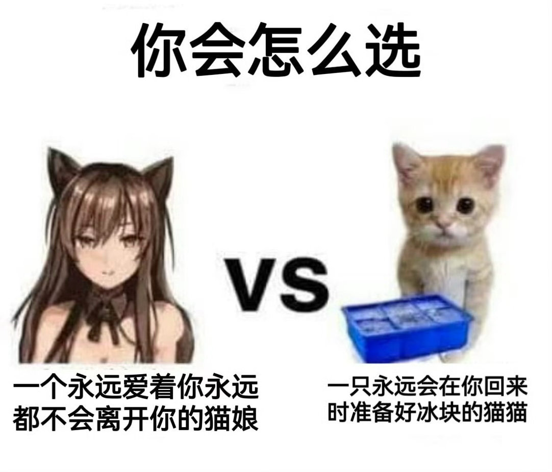 你怎么说 