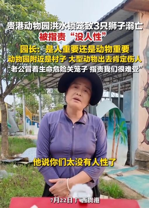 7月22日，广西贵港一动物园遭遇洪水，3只狮子因被锁在笼中无法逃生，最终全部溺亡