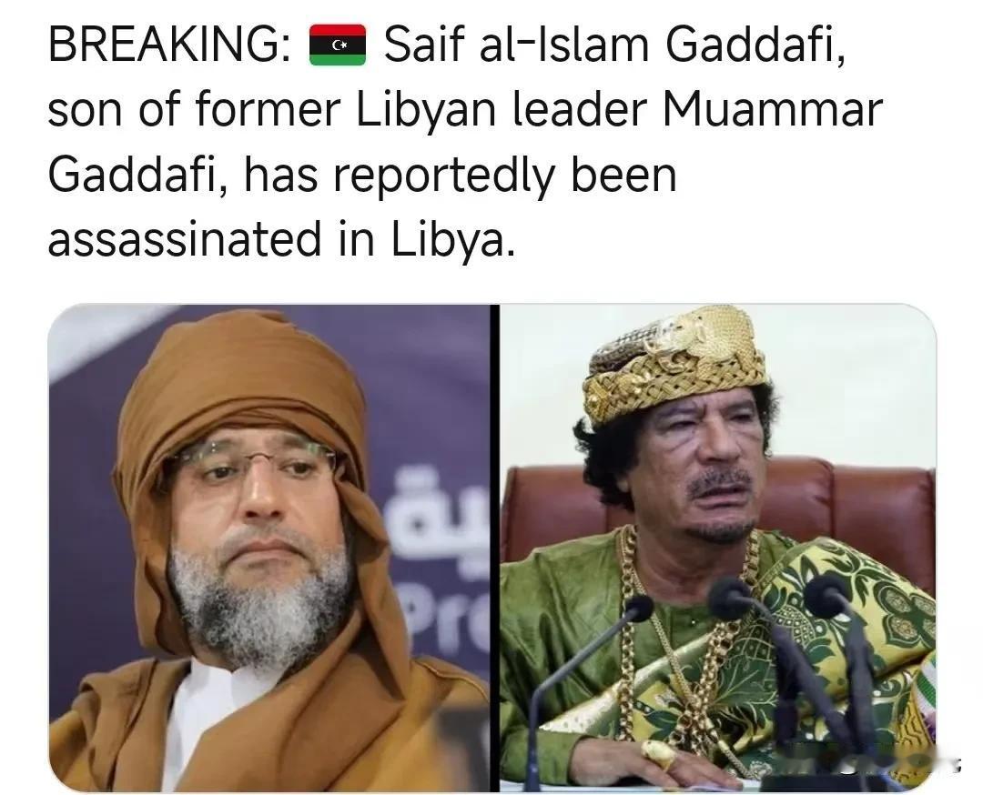 利比亚前总统卡扎菲之子赛义夫·伊斯兰·卡扎菲在利比亚被暗杀。利比亚变故 多行不义
