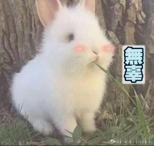 告别复杂套路，迎来诚意大促。众多商家联合宣布，618从5月30日全面启动。各类好