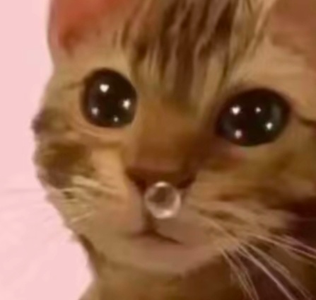 爱上虞书欣是人之常情恨上虞书欣是人之没品我就这样想 