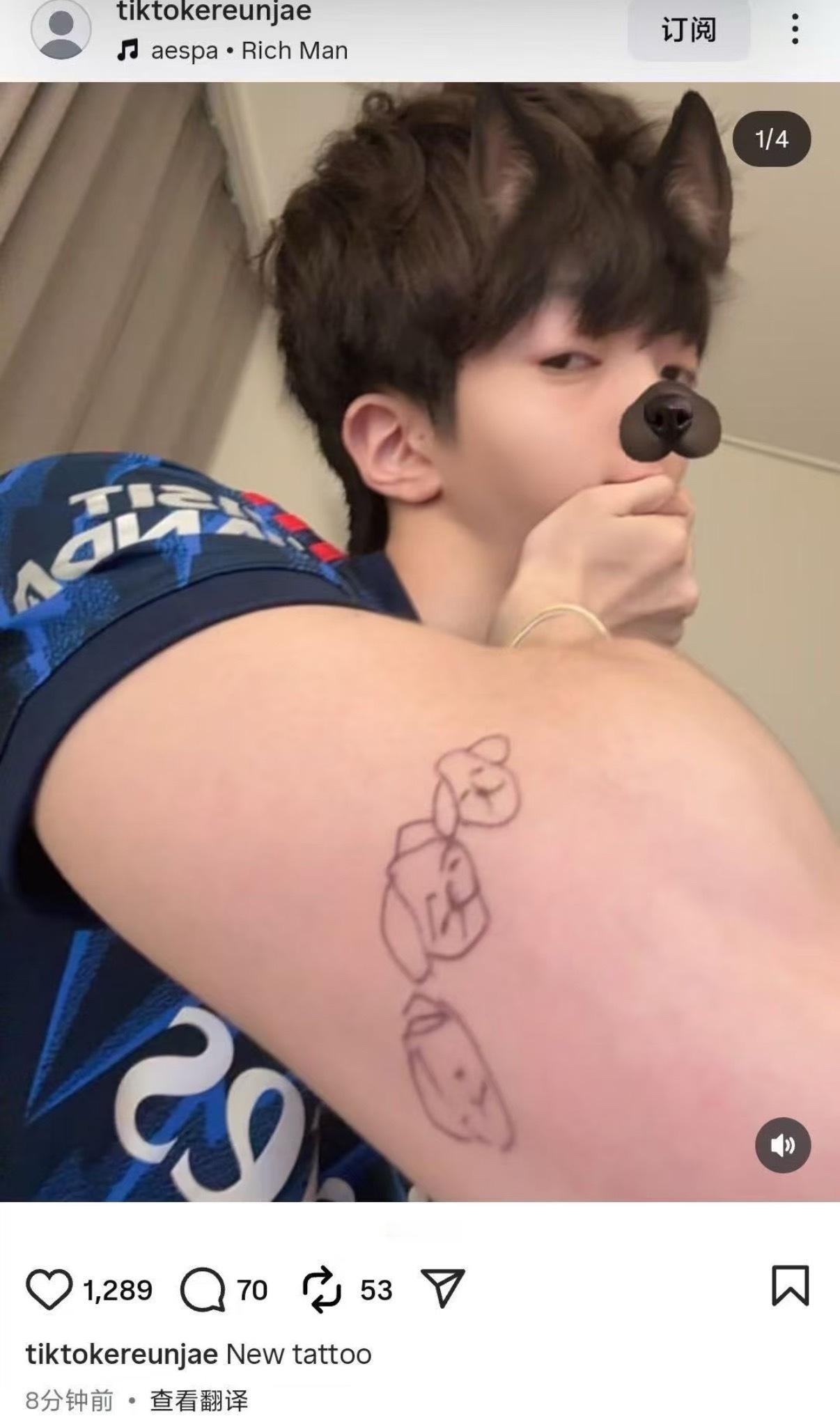 恩宰豆sfz是不是找不到了？国难财都发