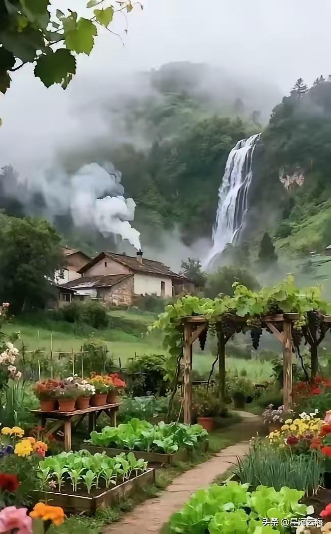 捣练子·山乡农家
青山下，野人家，
淡烟轻绕罩轻纱。
葡萄架满蔬果翠，
清风拂路