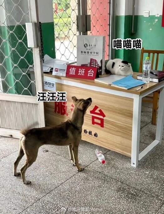 网友投稿图片选集
