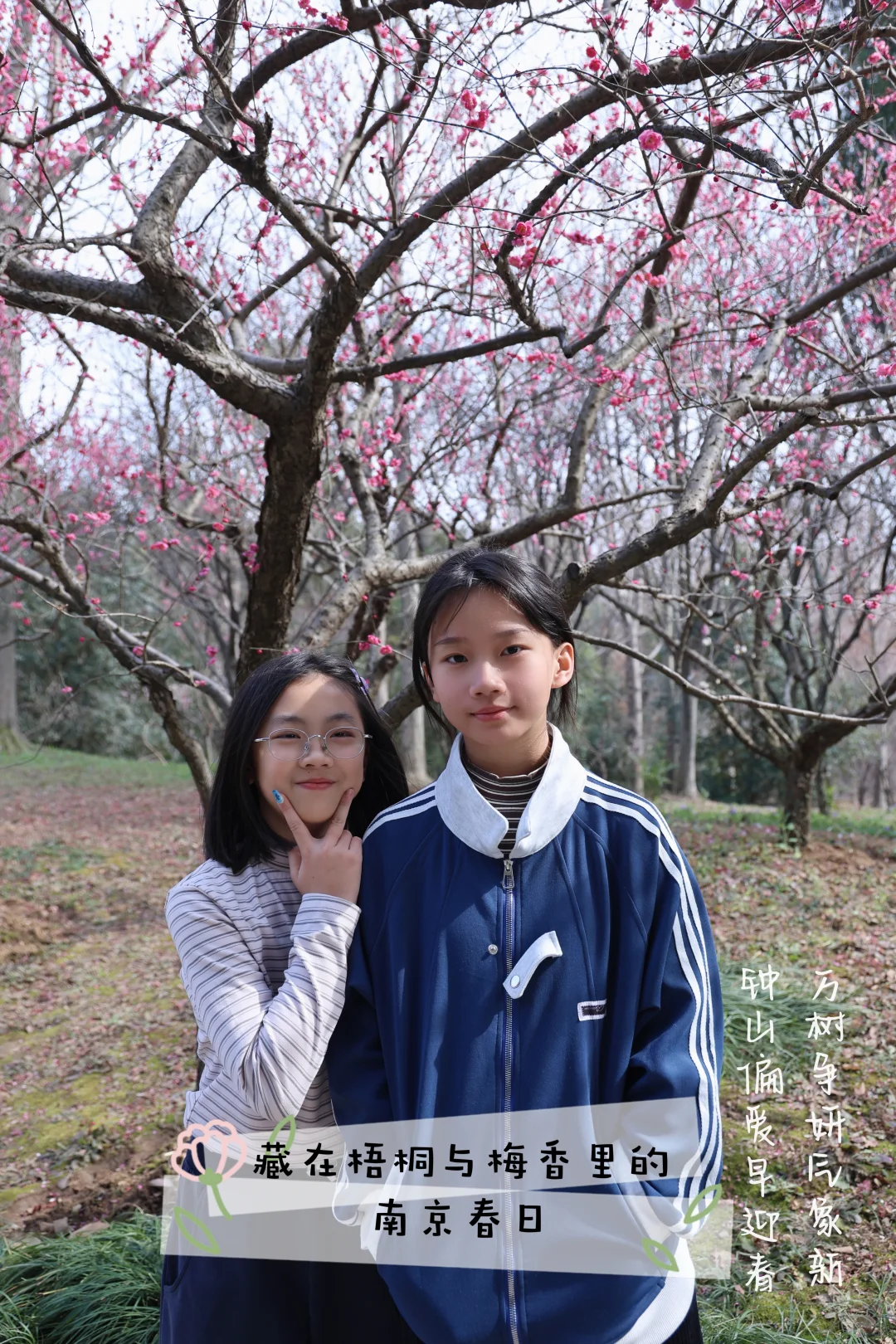 南京钟山游：藏在梧桐与梅香里的春日