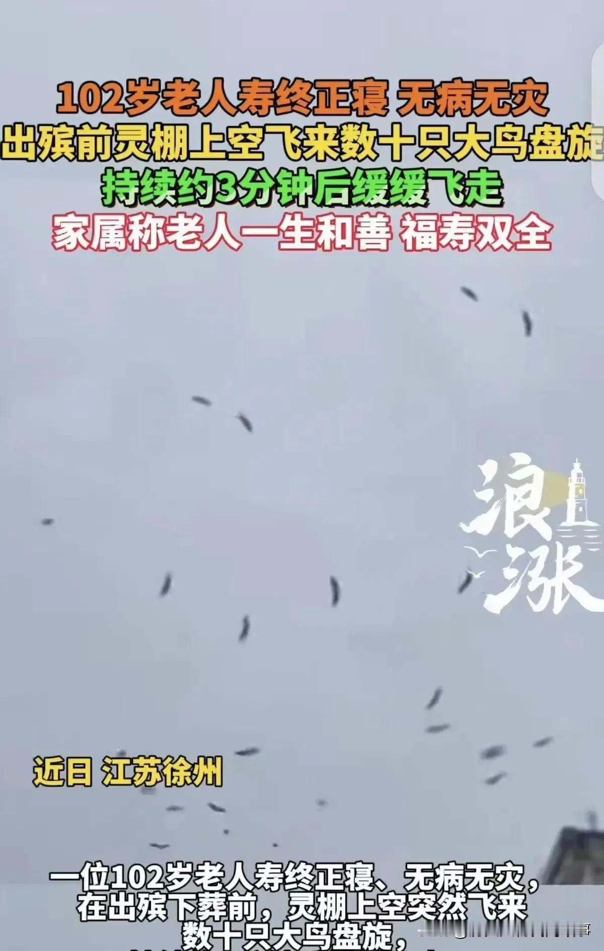 2026年4月21日，江苏徐州一场102岁老人的“喜丧”出殡现场，数十只大鸟在灵