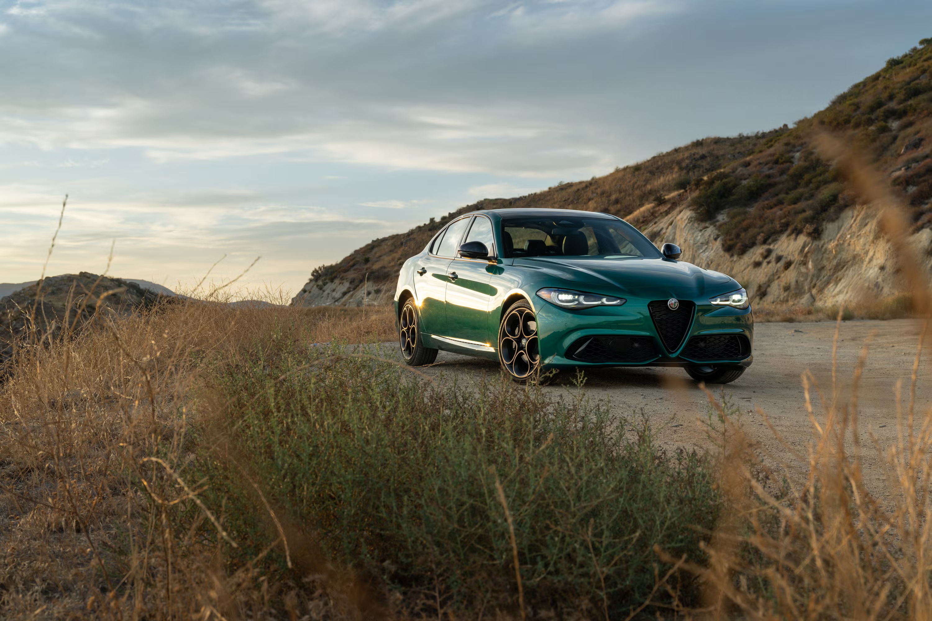 Morning柴斯基的早安图 ​​​