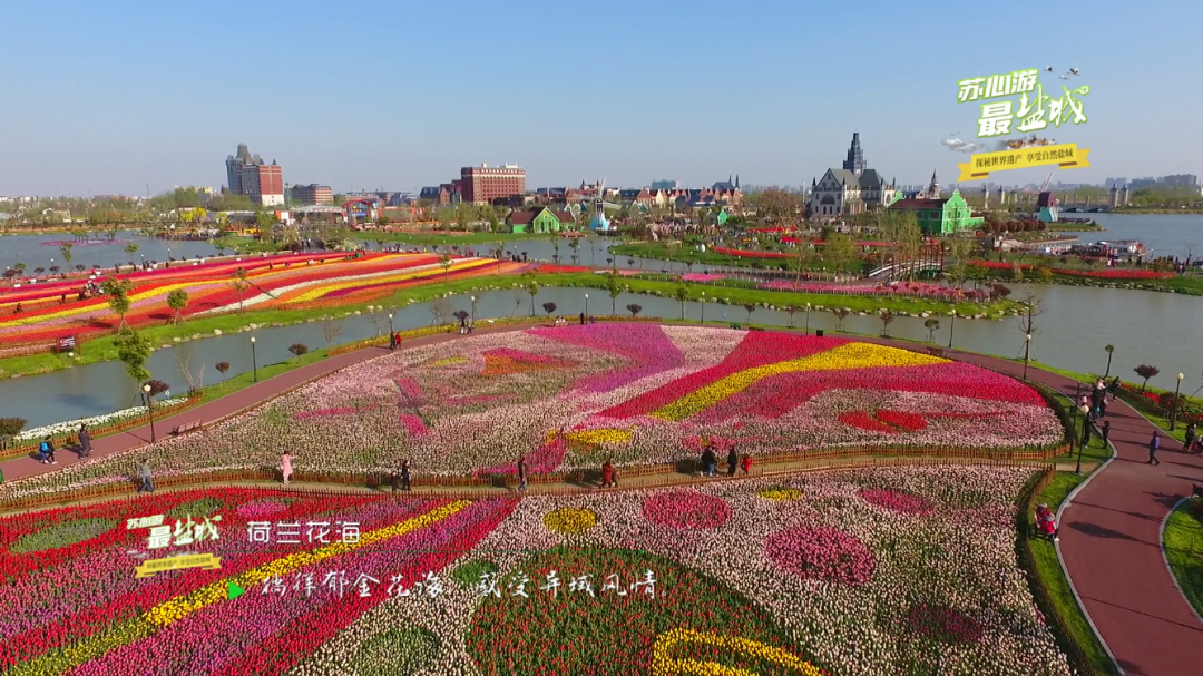 上海长宁|“沪盐旅游线路”发布！来一场“说走就走的旅游”吧！
