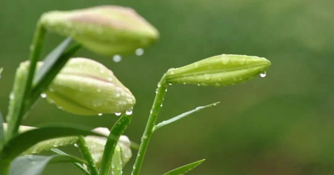 婚书·默斋主人原创自由诗我并不想要一张证书只想在风雨来时桌上还有一盏灯灯下还有一