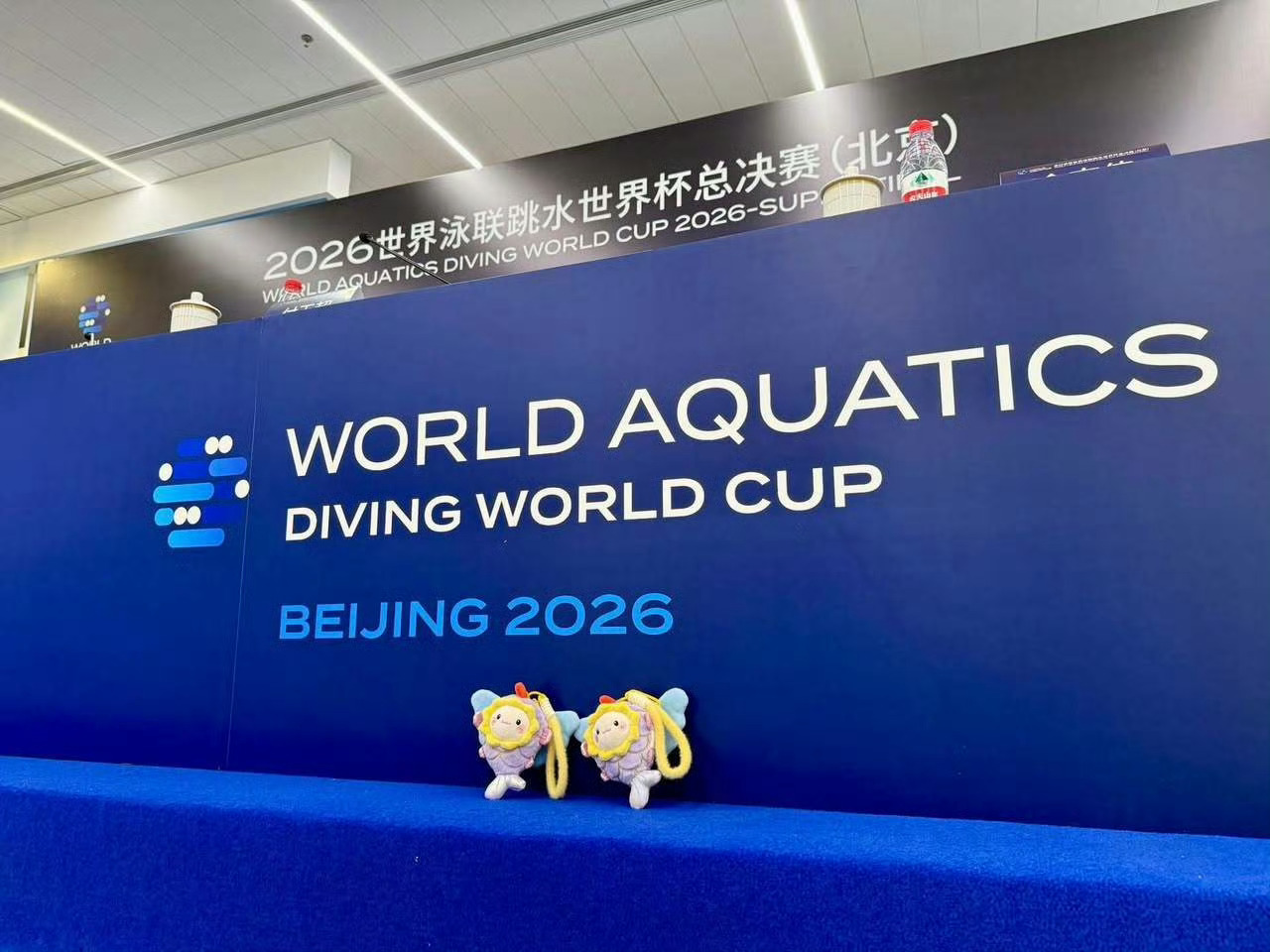 王宗源郑九源金牌 2026世界泳联跳水世界杯总决赛男子双人3米板决赛，中国组合/
