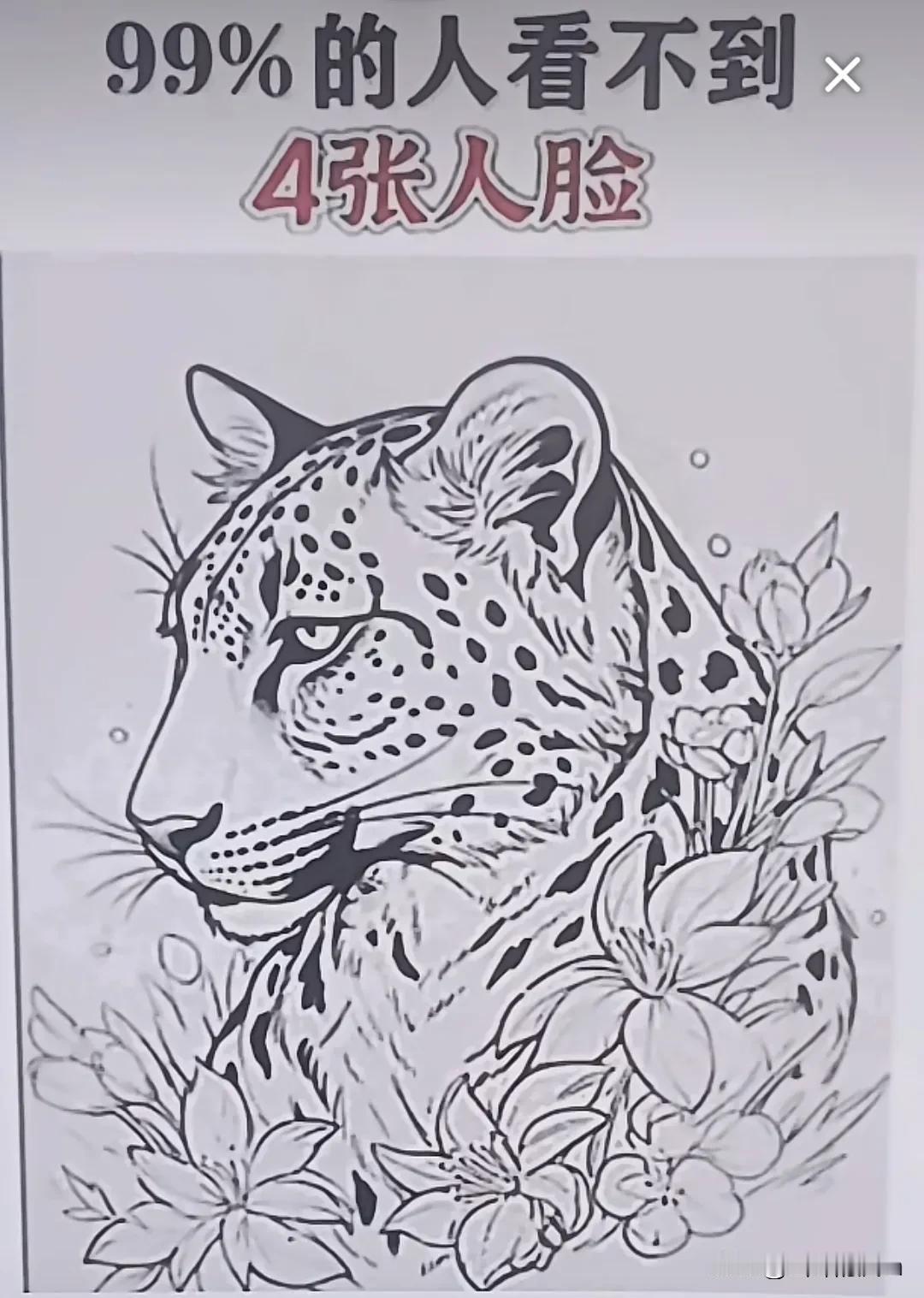 只看到两张很明显的，放大还能看到一张，最后一张极难，眼力和智商不在线了，只能求助