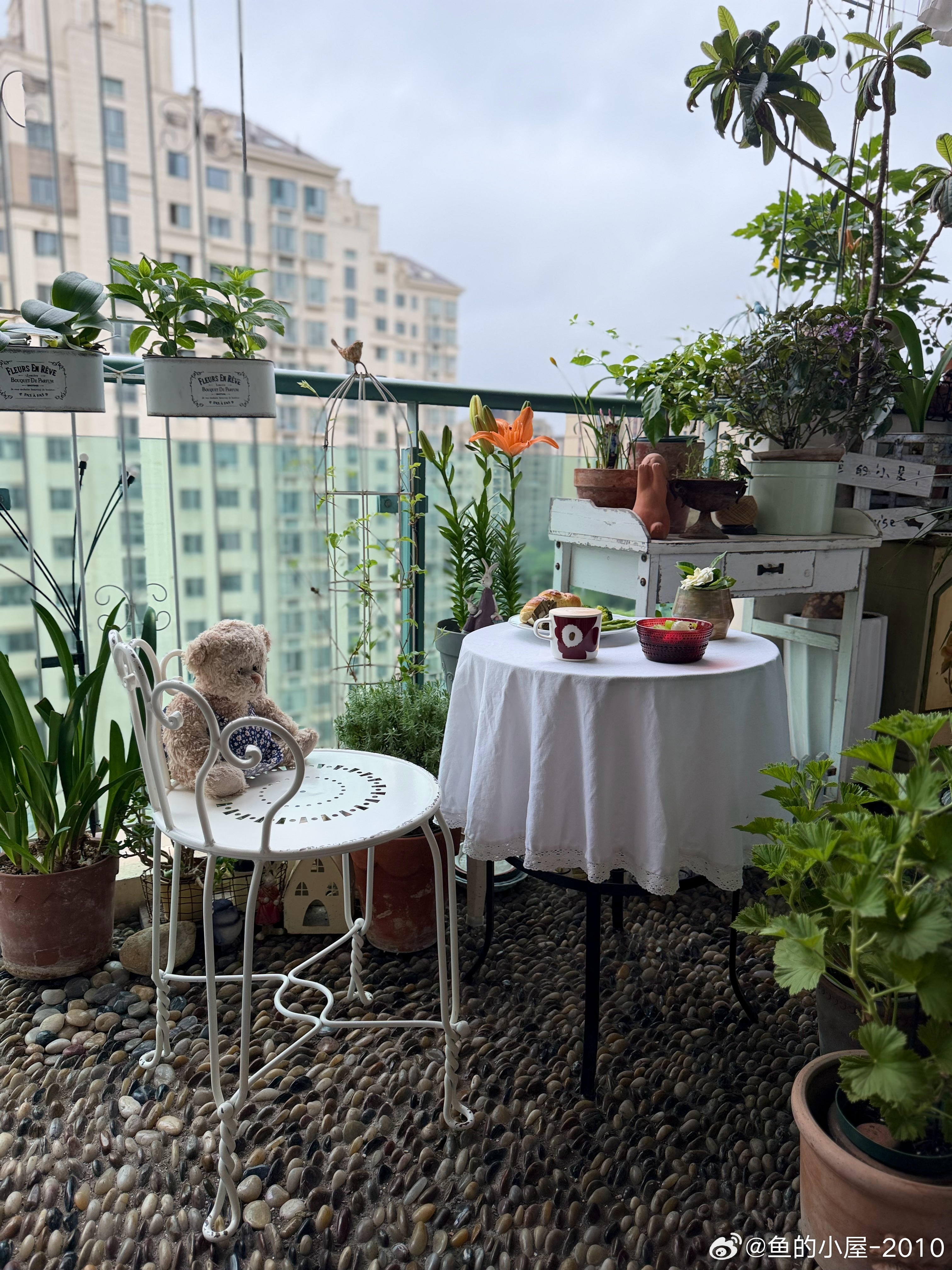 台风中风雨兰是主角但百合一开瞬间失色Marimekko中罂粟是主角但几何一出瞬间