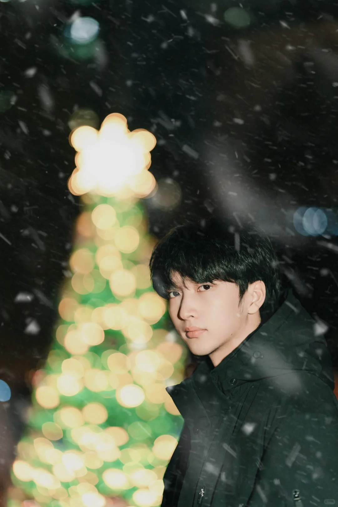 像雪一样来了又走