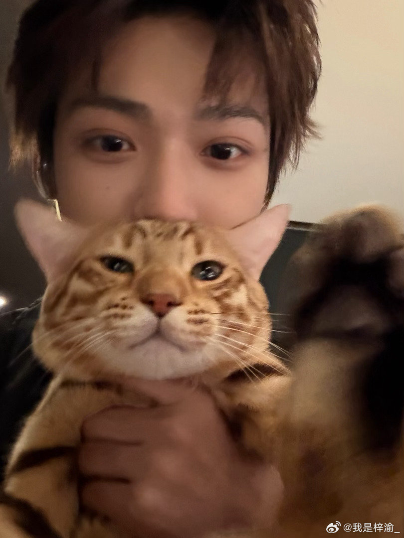 梓渝梓渝和小猫的贴脸自拍萌物我一下看到了三只！！