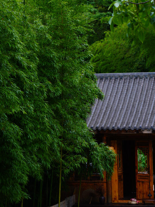 都江堰民宿，住进「卧虎藏龙」同款竹海秘境