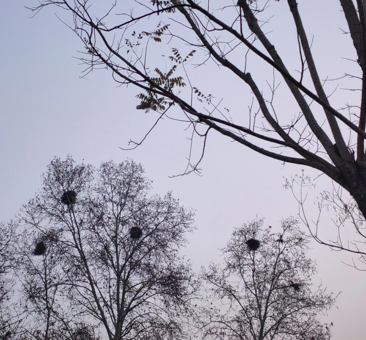 据报道，北京一家公司招了25名职工，有24个是“上班骗子”，还有人表示不信。
是