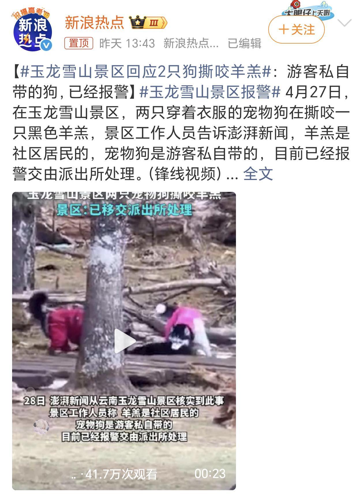 玉龙雪山景区报警不栓绳的狗主人，一旦狗狗咬了人或者动物出了事，建议严惩，入刑都可