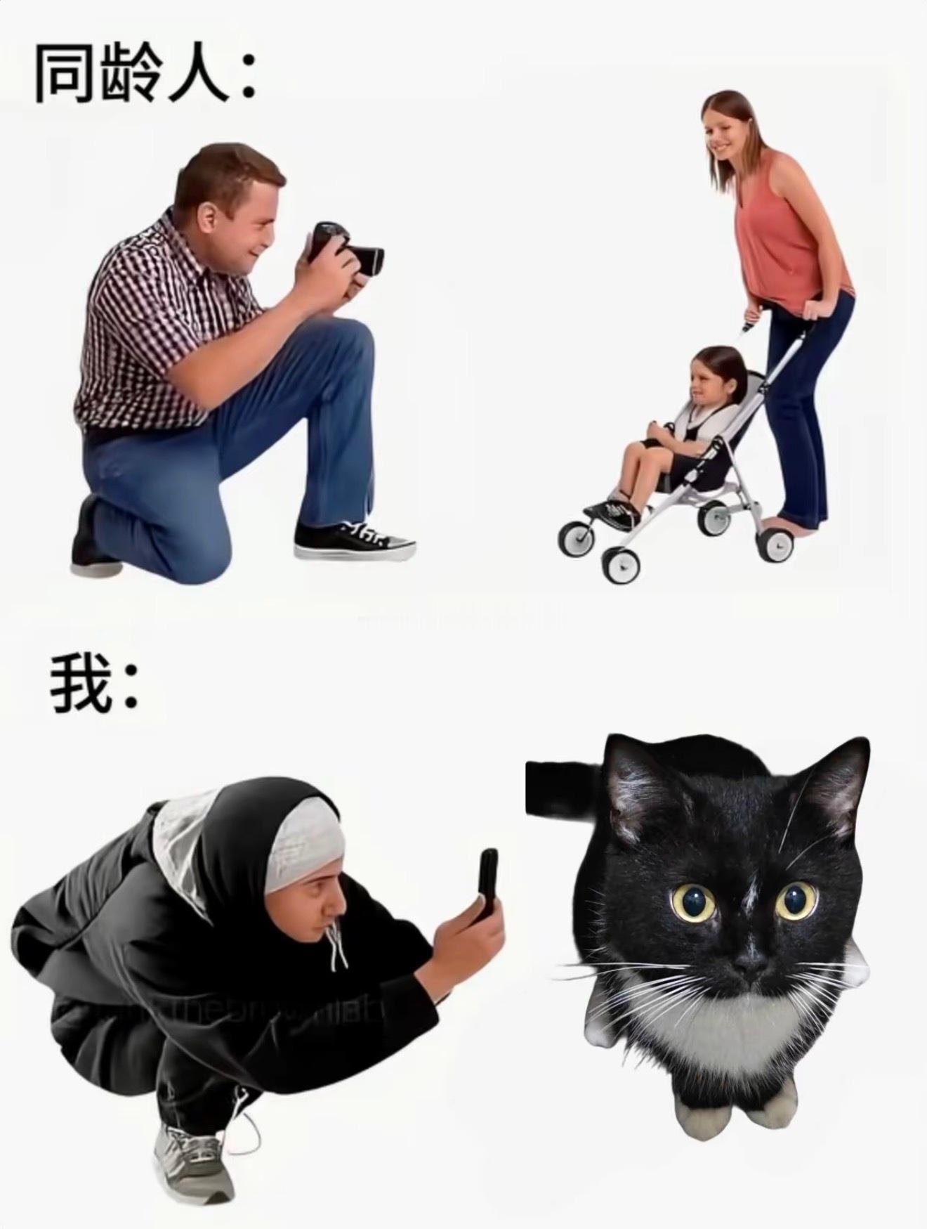 是我本人 ​​​