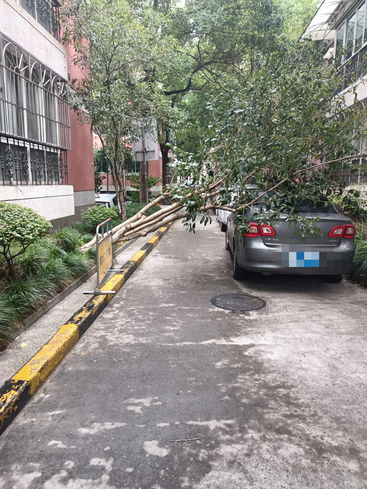 杭州话说这个事叫“点子不准”，请问各位你们当地的特有的形容这种倒霉事的是怎么说的