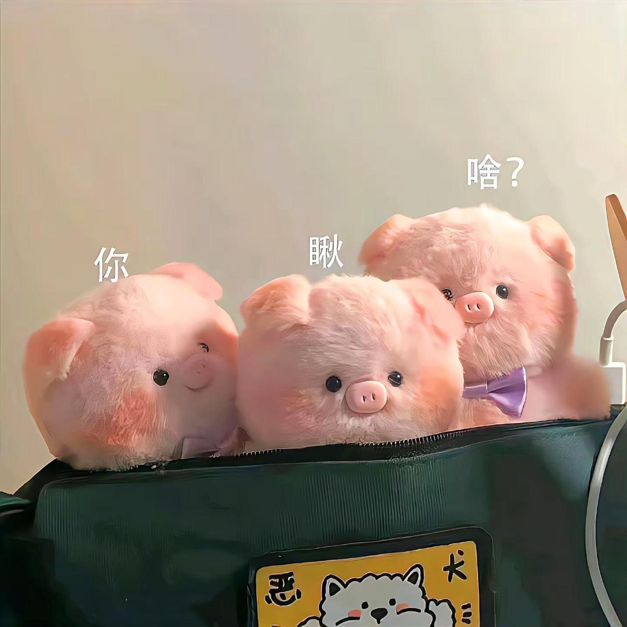 何必与人较劲 这红尘万丈最没意思的就是人心.