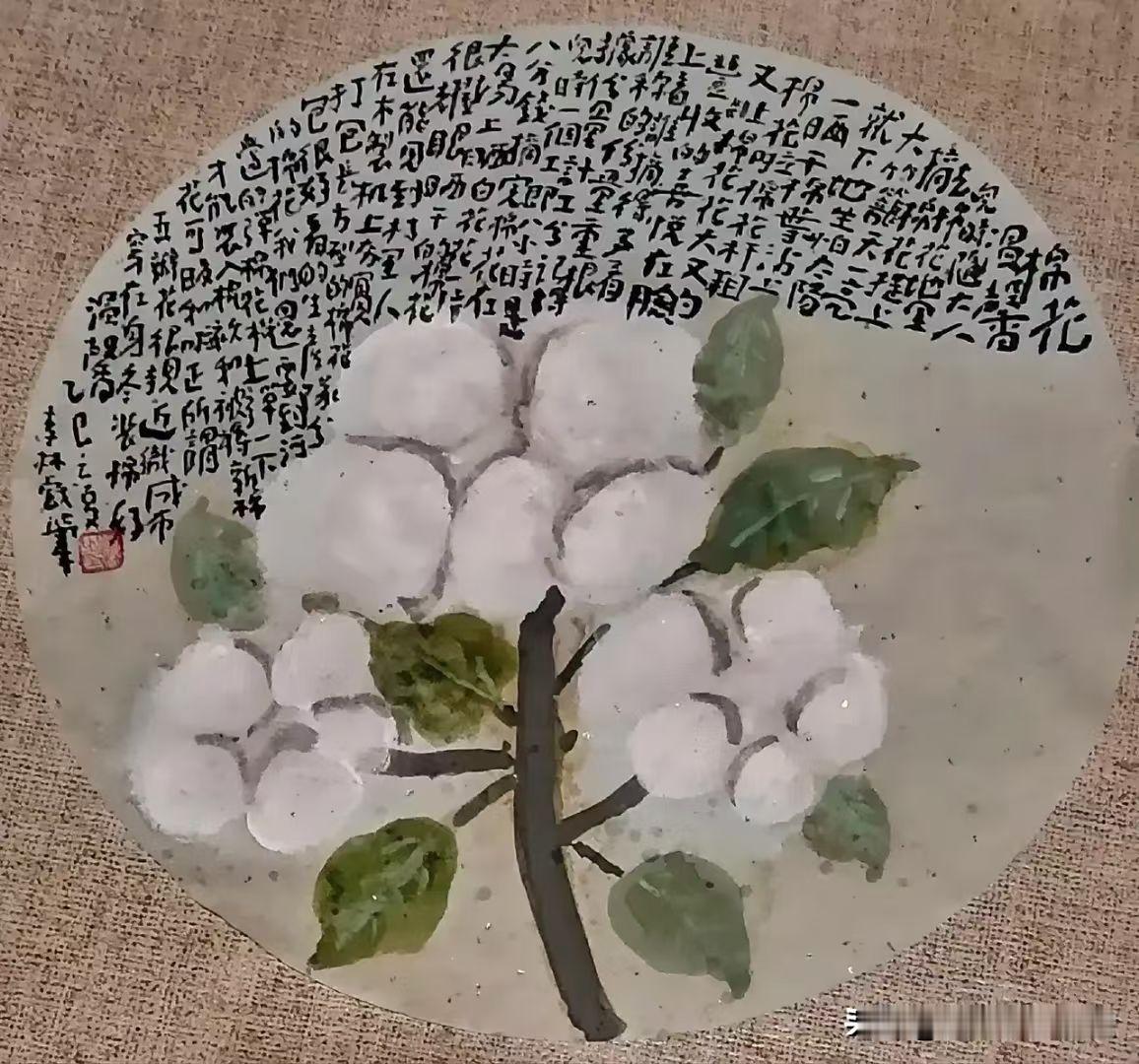 《西安李林绘画：棉花》