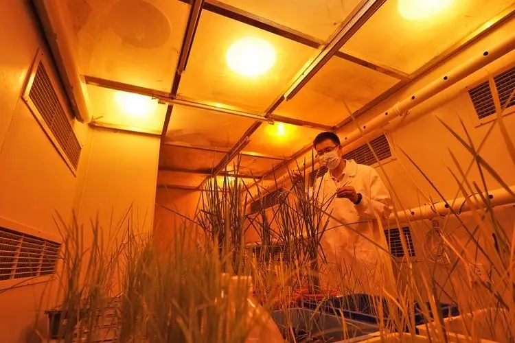 【这个榜单中国首次第一！“中国在自然科学领域超过美国只是时间问题”】6月15日发